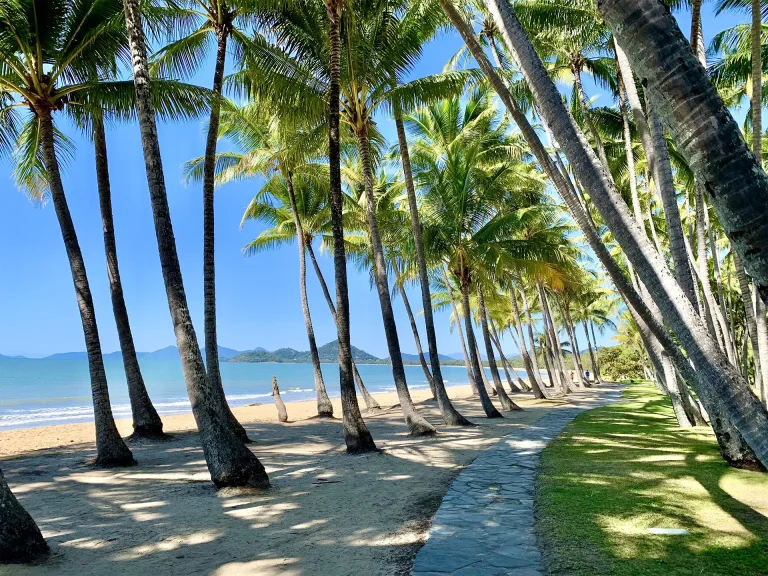 Palm_trees_at_Palm_Cove_Beach,_Queensland