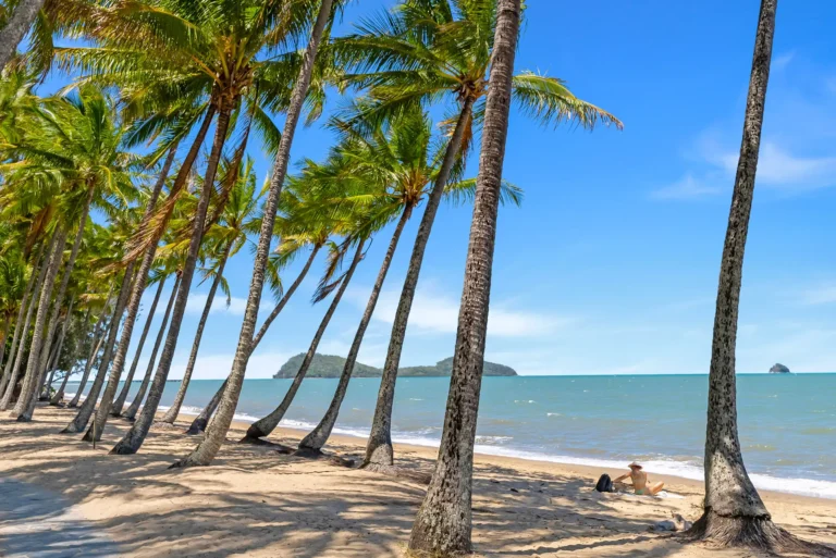 Sunny vacation Home Palm Cove Drone Shots 31